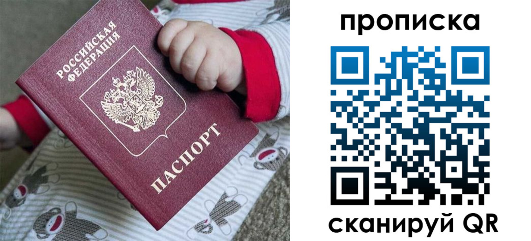 прописка 2025 в Ковдоре